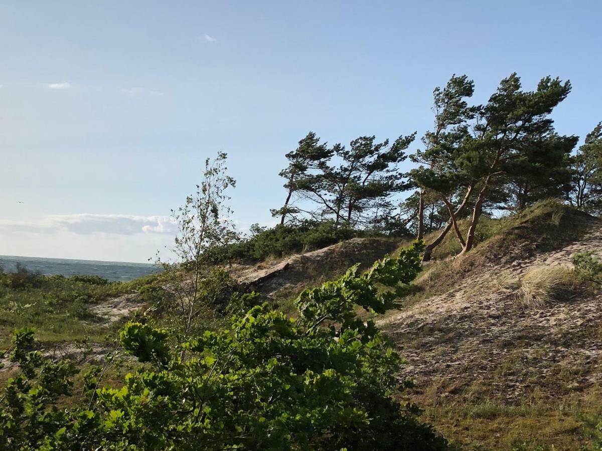Haus Kranich Im Duenenwald 300M Zum Strand Дирхаген Экстерьер фото